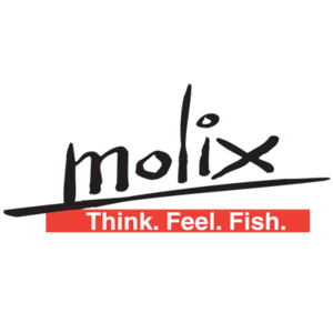 Logo molix