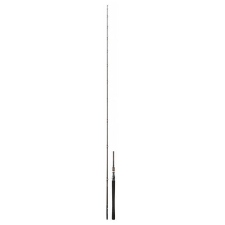 Cana Daiwa Exceler 762 XXHFBOS 2,29 m