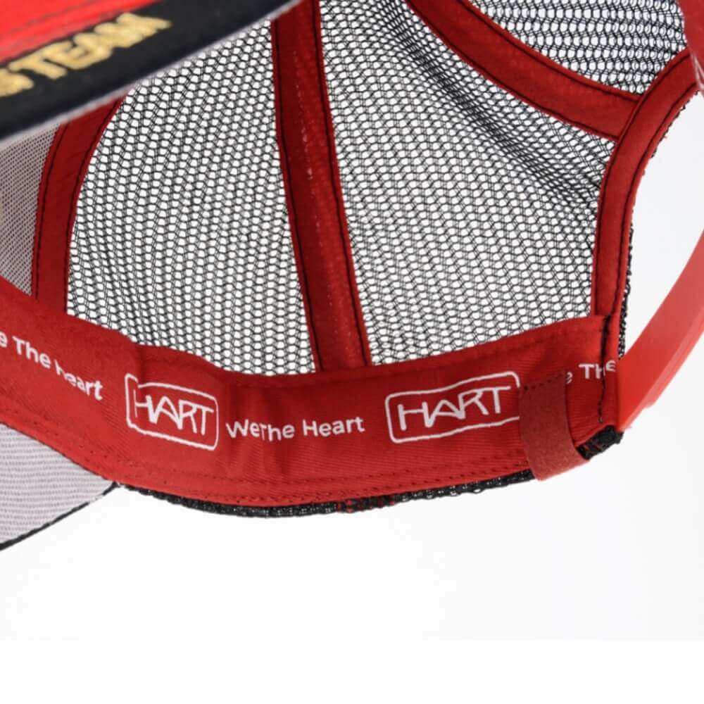 Gorra Hart Fury 2