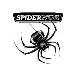 Logo Spiderwire
