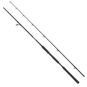 Cana Abu Garcia Beast 802H 40-90 g