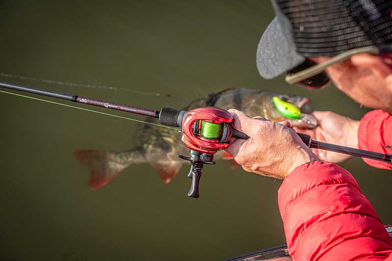 Rod Fox Rage Warrior {Zander Cast} 2.10 m