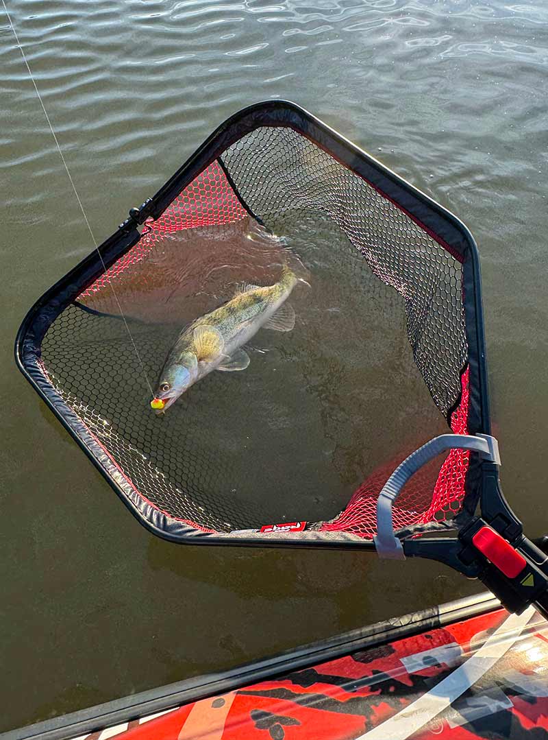 Folding sack Fox Rage Speed Flow L