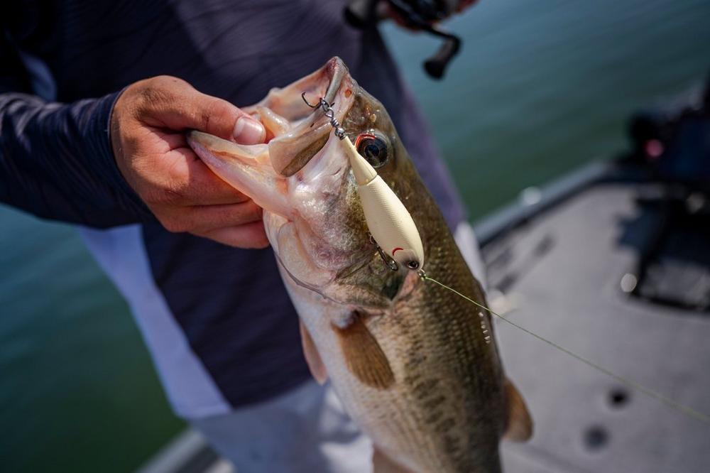 Señuelo Berkley Choppo 120 mm 28 g HDGSH