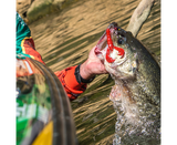 Soft Lure Strike King Craw 101 mm Delta Red