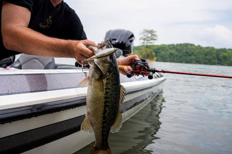 Señuelo Berkley Choppo 90 mm 14g HDGSH - Tienda Bass