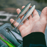 Vinilo Rapala Crushcity The Kickman 3 - 75 mm Sparkle Shad - Tienda Bass